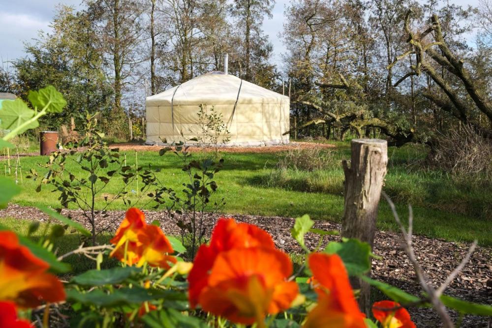 Bed and Breakfast Yurt Klyndobbe à Veenwoudsterwal Extérieur photo